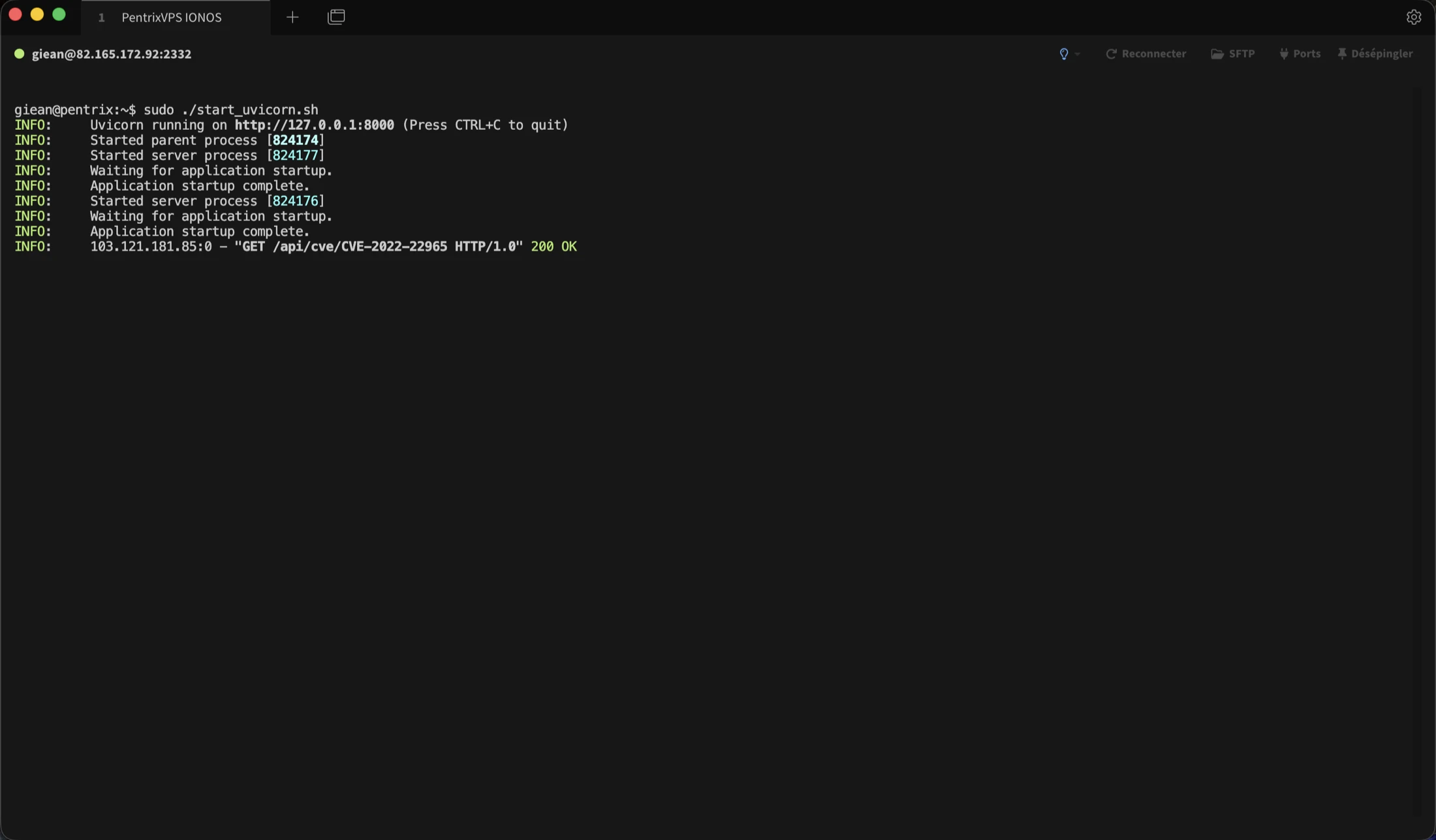 Exécution de l’API Vulnix dans un terminal
